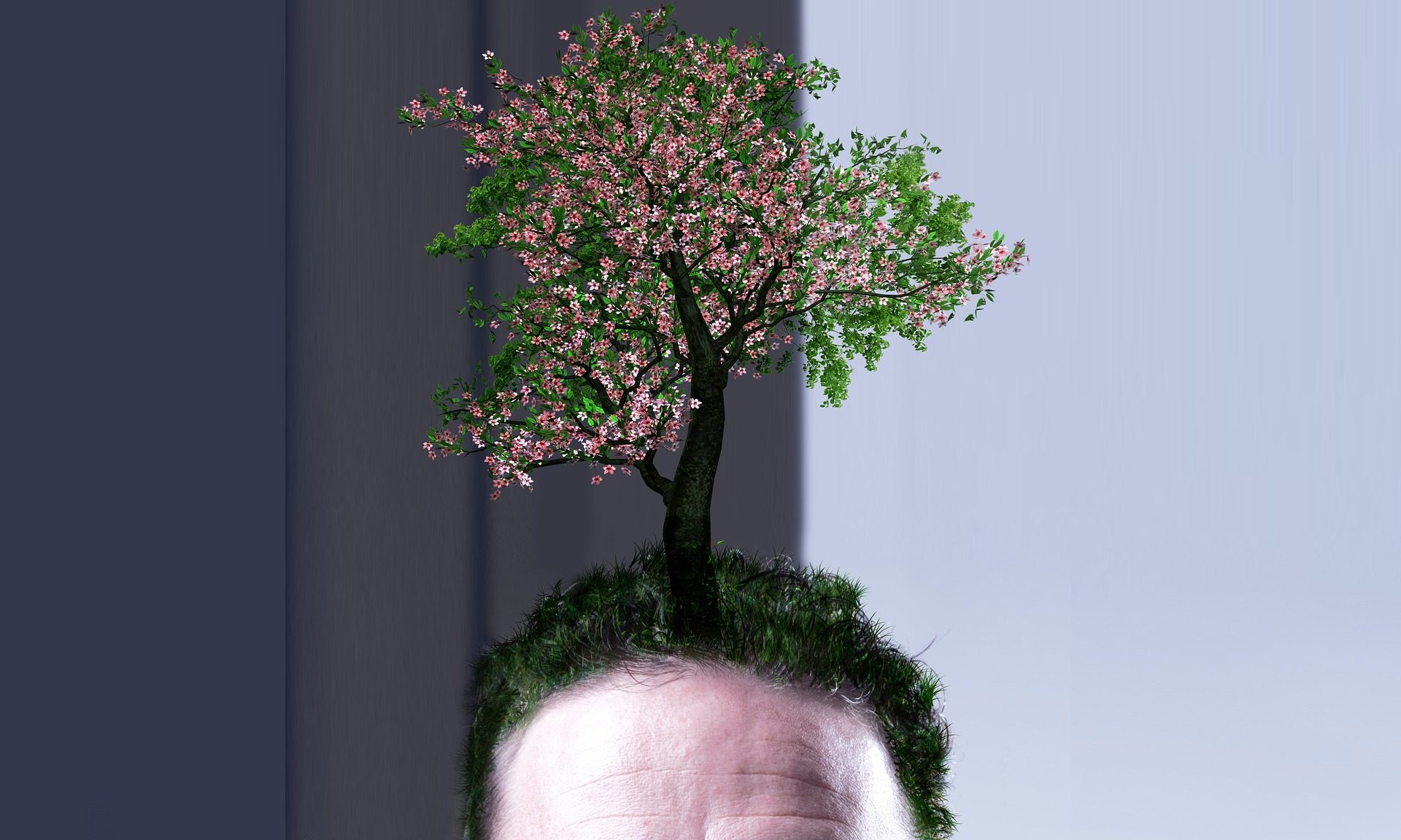 cropped-environmental-protection-4105930_1920.jpg